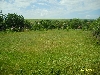 bulding-plot varna-region s.krumovo